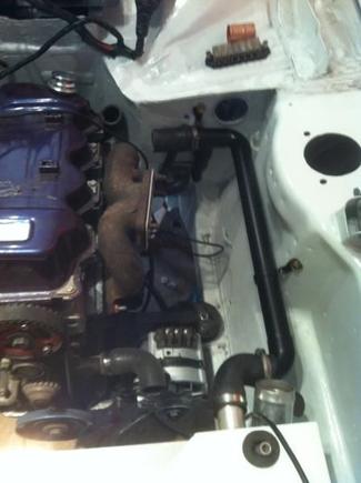 hoses 005