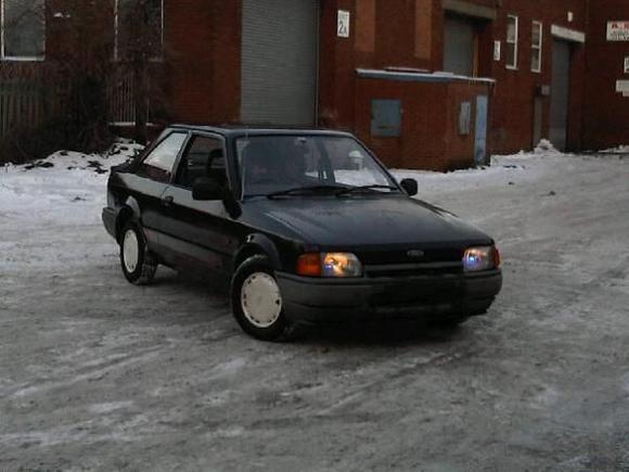 Day I Purchased It