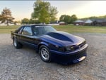 79 Mustang and Enclosed Trailer 