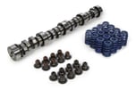 Camshaft Kit - LS1 Hyd. Roller, by CHEVROLET PERFORMANCE, Ma  for sale $543 
