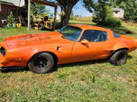1978 Pontiac Firebird  for sale $26,895 