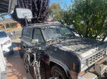 1985 Ford Bronco  for sale $7,495 