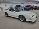 1986 Pontiac Firebird  for sale $17,990 