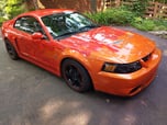 2003 Ford Mustang  for sale $32,000 