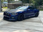 Mustang GT Coyote 5.0L  for sale $39,500 