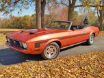 1973 Ford Mustang  for sale $28,500 