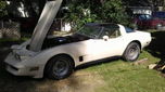 1981 Chevrolet Corvette  for sale $19,495 
