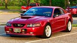 2001 Ford Mustang 