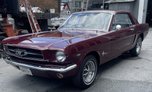 1964 Ford Mustang  for sale $32,500 