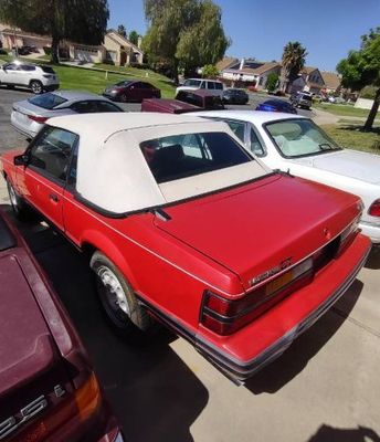 1984 Ford Mustang  for sale $24,995 