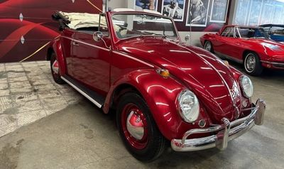 1964 Volkswagen Beetle  for sale $42,895 