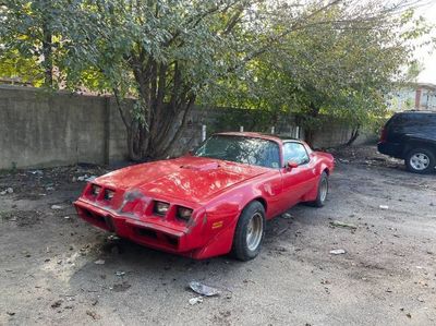 1979 Pontiac Firebird  for sale $20,995 