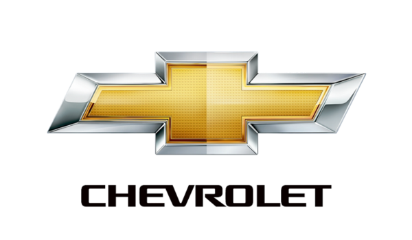 2020 Chevrolet Silverado 1500  for Sale $45,460 