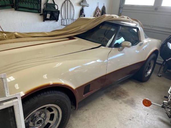 1981 Chevrolet Corvette  for Sale $32,895 