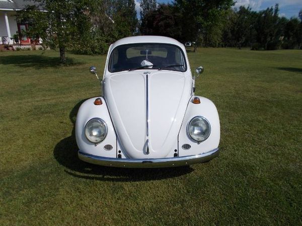 1966 Volkswagen Beetle  for Sale $11,795 