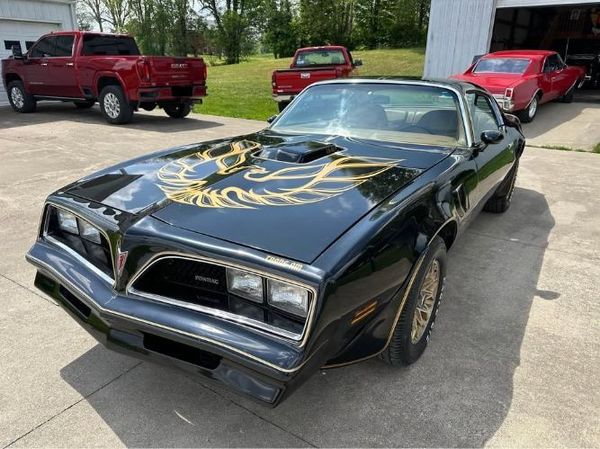 1978 Pontiac Firebird  for Sale $36,895 
