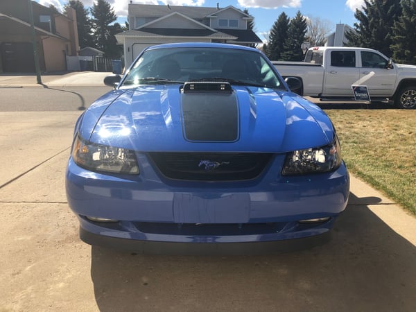2003 Ford Mustang  for Sale $42,900 