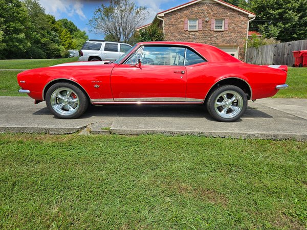 Trade body work and paint  