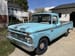 1966 Ford F100