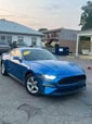 2019 Ford Mustang  for sale $16,500 