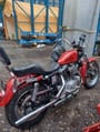 1981 Harley Davidson Ironhead