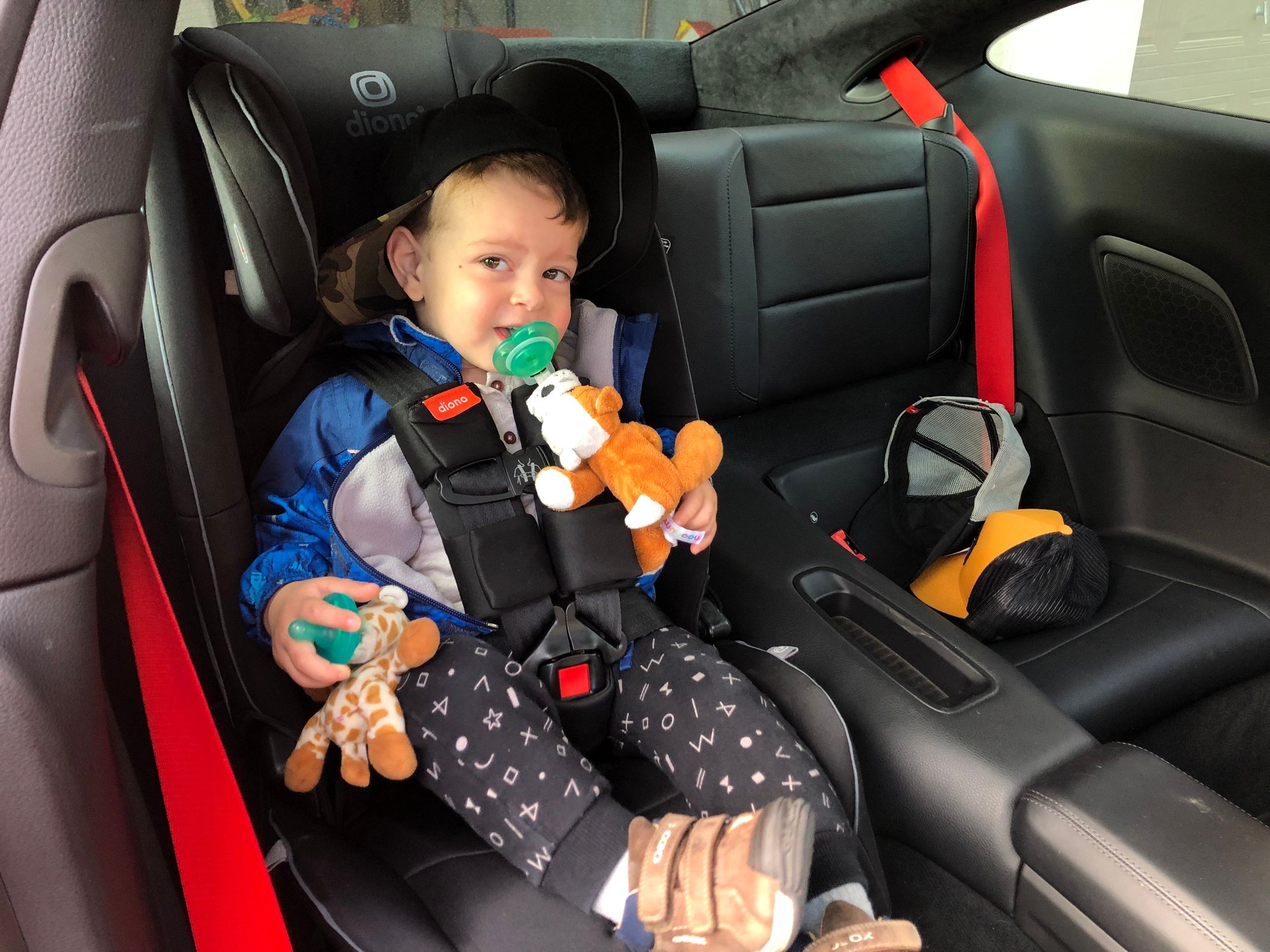 991.2 forward facing toddler car seat Rennlist