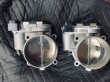 New TB from Pelican $202