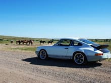 Horses and Porsches.