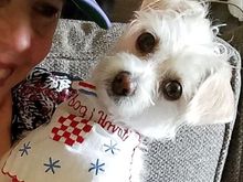 Deucee and me cheering Croatia on today in World Cup. Idemo Dalje Hrvatska! 