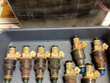 Freshly pulled(left), cleaned refreshed(right)