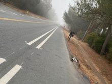 rode in fog