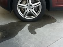 Leak or just water falling off from the pressure wash? 