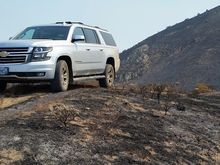 A week after the Soberantes Fire - effectively sterilized the soil, but we did have 2 years free from poison oak and ticks.
