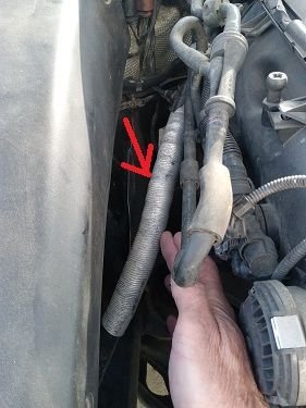 20240811_101430_00ce44951431d9b7b02d4c25