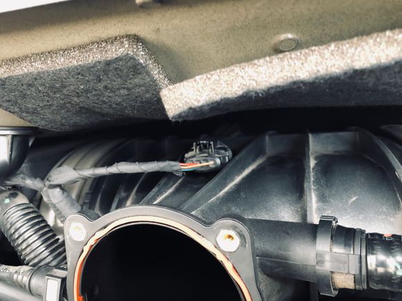 MAF sensor 