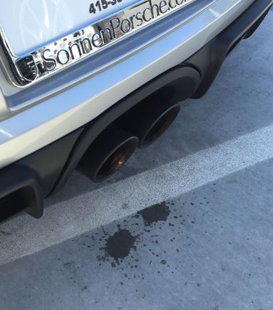 Someone is happy to see me.