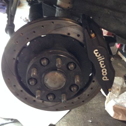 After 24 hrs of abuse
