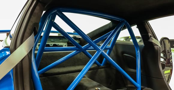 Color matched "Voodoo Blue" cage