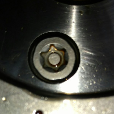 Old aluminum bolts - note distinctive anti-tamper pin.