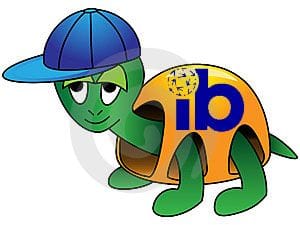ib turtle