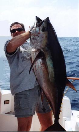 Bigeye Tuna