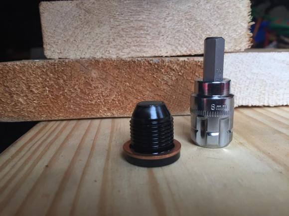 Magnetic Plug and crush washer
