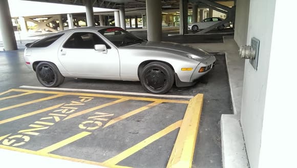 Shark resting comfortably in the almost-empty parking lot at work