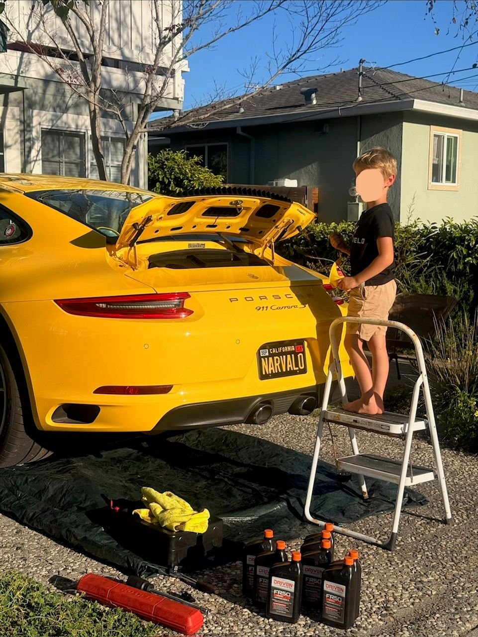 My little helper always around <img src=