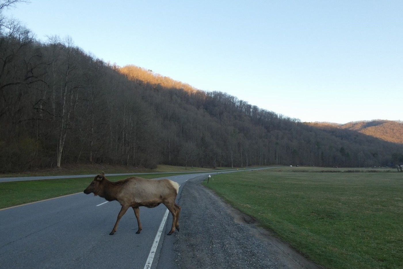 Of course one has to cross the road....
