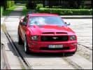 Mustang GT (RedHornet)