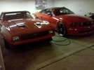 my 2 mustangs