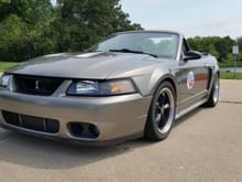 LAMustang.com mascot 2001 Mustang GT/Cobra