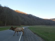 Of course one has to cross the road....