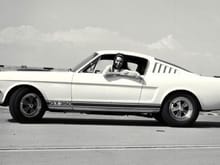 Mustang Photo Archive 1964 1/2 - 1966 Mustangs 1965 Mustang 1965 Shelby GT350 1965 Shelby GT350 #1